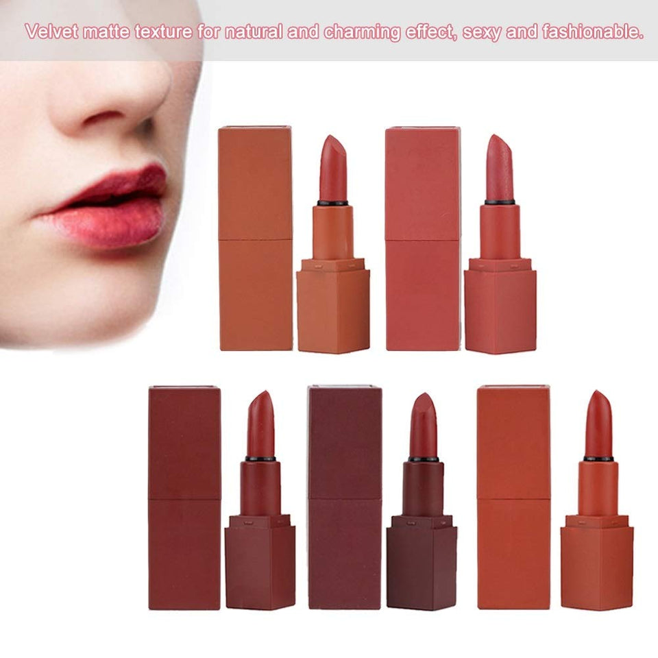 DEWIN Set de lápices labiales - Set de lápices labiales Mate de 5 Colores Maquillaje de Labios Lápiz Labial Natural de Larga duración Brillo Labial Cosmético