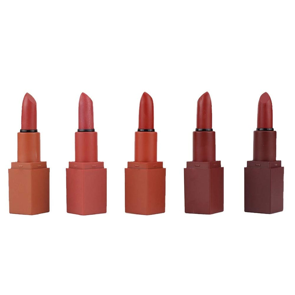 DEWIN Set de lápices labiales - Set de lápices labiales Mate de 5 Colores Maquillaje de Labios Lápiz Labial Natural de Larga duración Brillo Labial Cosmético