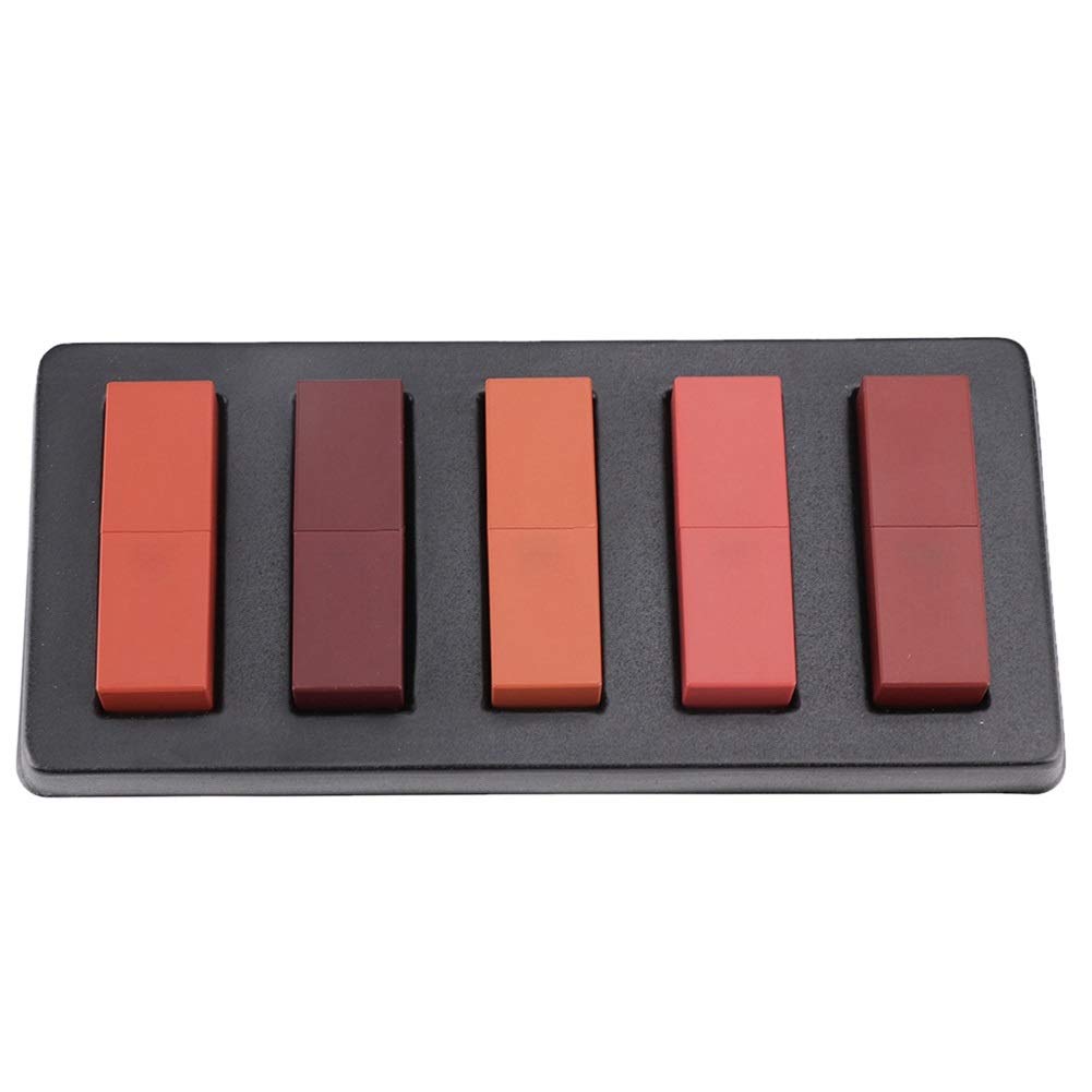DEWIN Set de lápices labiales - Set de lápices labiales Mate de 5 Colores Maquillaje de Labios Lápiz Labial Natural de Larga duración Brillo Labial Cosmético