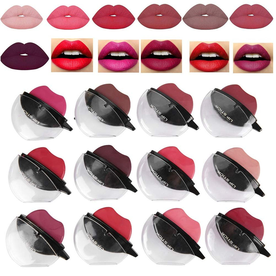 DEWIN Set de lápiz Labial Mate - Lápiz Labial de 12 Colores Lápiz Labial hidratante de Larga duración Brillo Labial Herramienta de Maquillaje cosmético