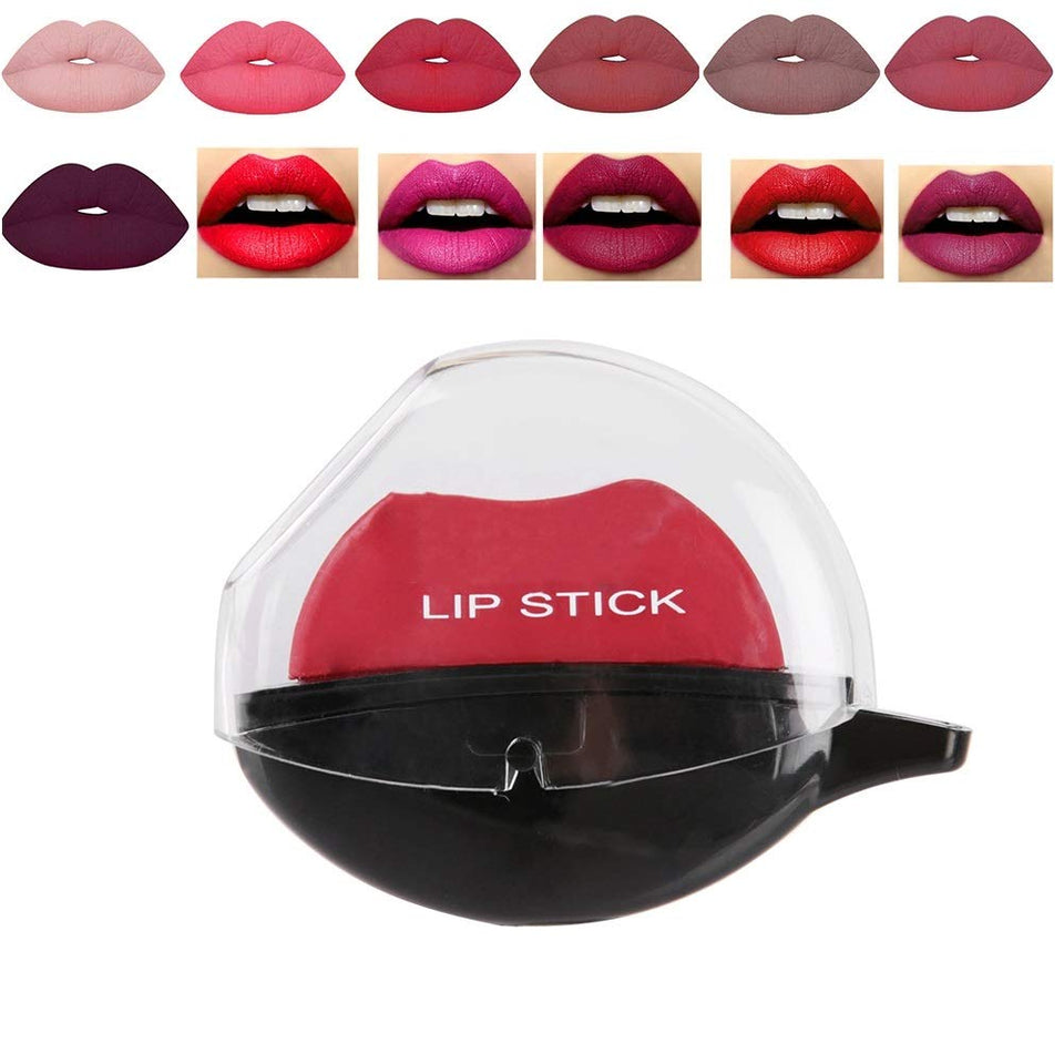 DEWIN Set de lápiz Labial Mate - Lápiz Labial de 12 Colores Lápiz Labial hidratante de Larga duración Brillo Labial Herramienta de Maquillaje cosmético